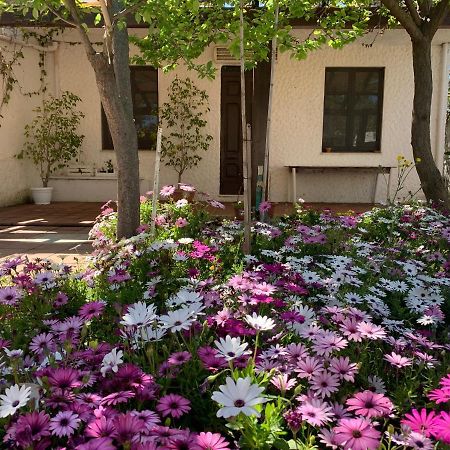 Sant'Andrea Casa Tranquilla A Pochissimi Passi Dal Mare别墅 外观 照片