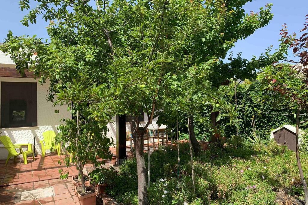 Sant'Andrea Casa Tranquilla A Pochissimi Passi Dal Mare别墅 外观 照片